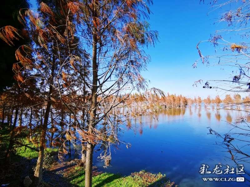 静花静花几十开是什么歌静花静花几时开是什么歌？游戏画面