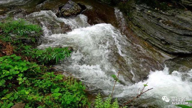 如何应对“银发浪潮”?山西省人大代表有话说